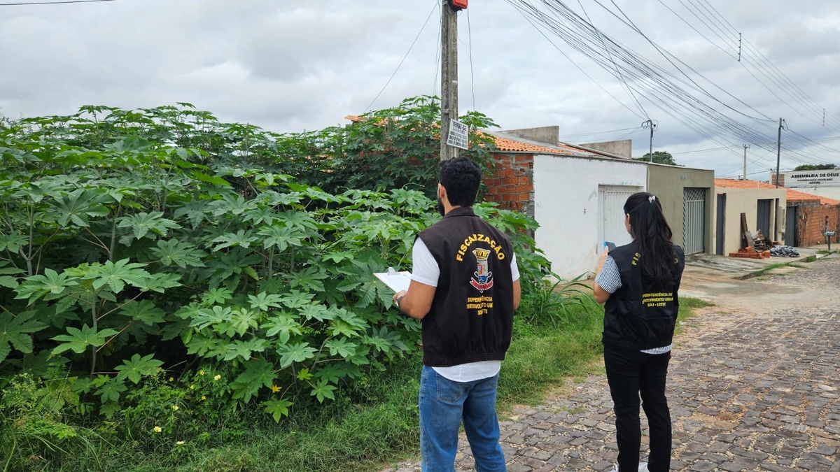 Terrenos baldios são alvo de fiscalização na zona Leste de Teresina.