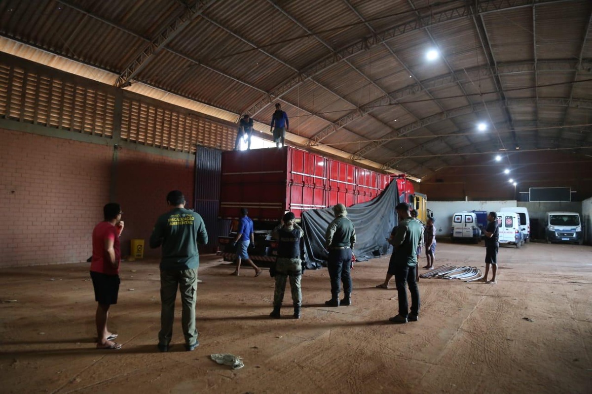 Motorista é multado por transporte ilegal de madeira no Sul do Piauí.