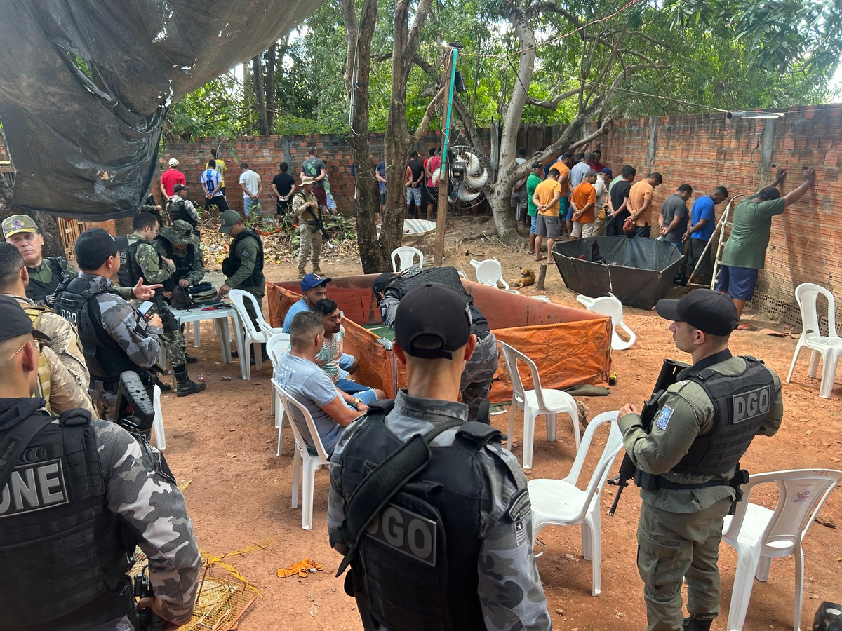 Polícia desarticula rinha de galos na zona leste de Teresina.