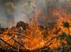 Piauí registra quase 6 mil incêndios em áreas urbanas e de vegetação em 2026