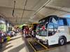 Eleitores terão ônibus intermunicipais gratuitos no Piauí
