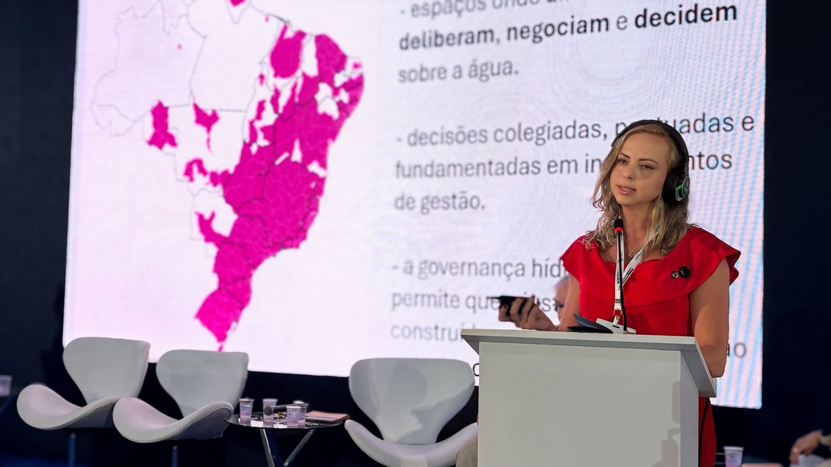 superintendente de Assuntos Institucionais da ANA, Renata Maranhão.