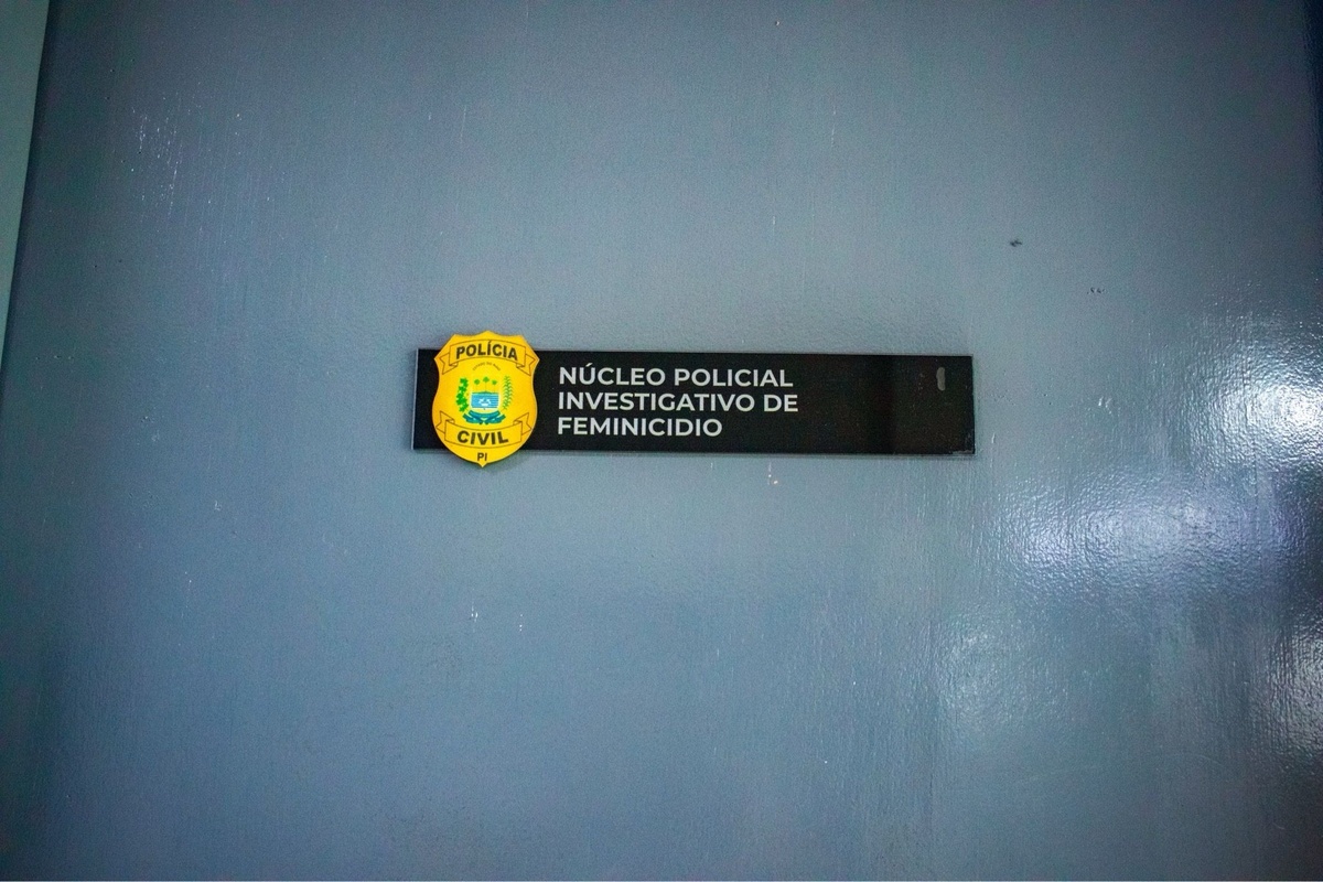 Feminicídio: um retrato no Brasil.