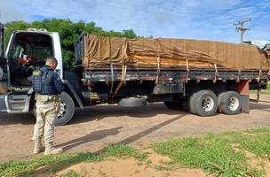 PRF apreende mais de 26 m³ de madeira irregular na BR-316, no PI. (Foto: Divulgação/ PRF)