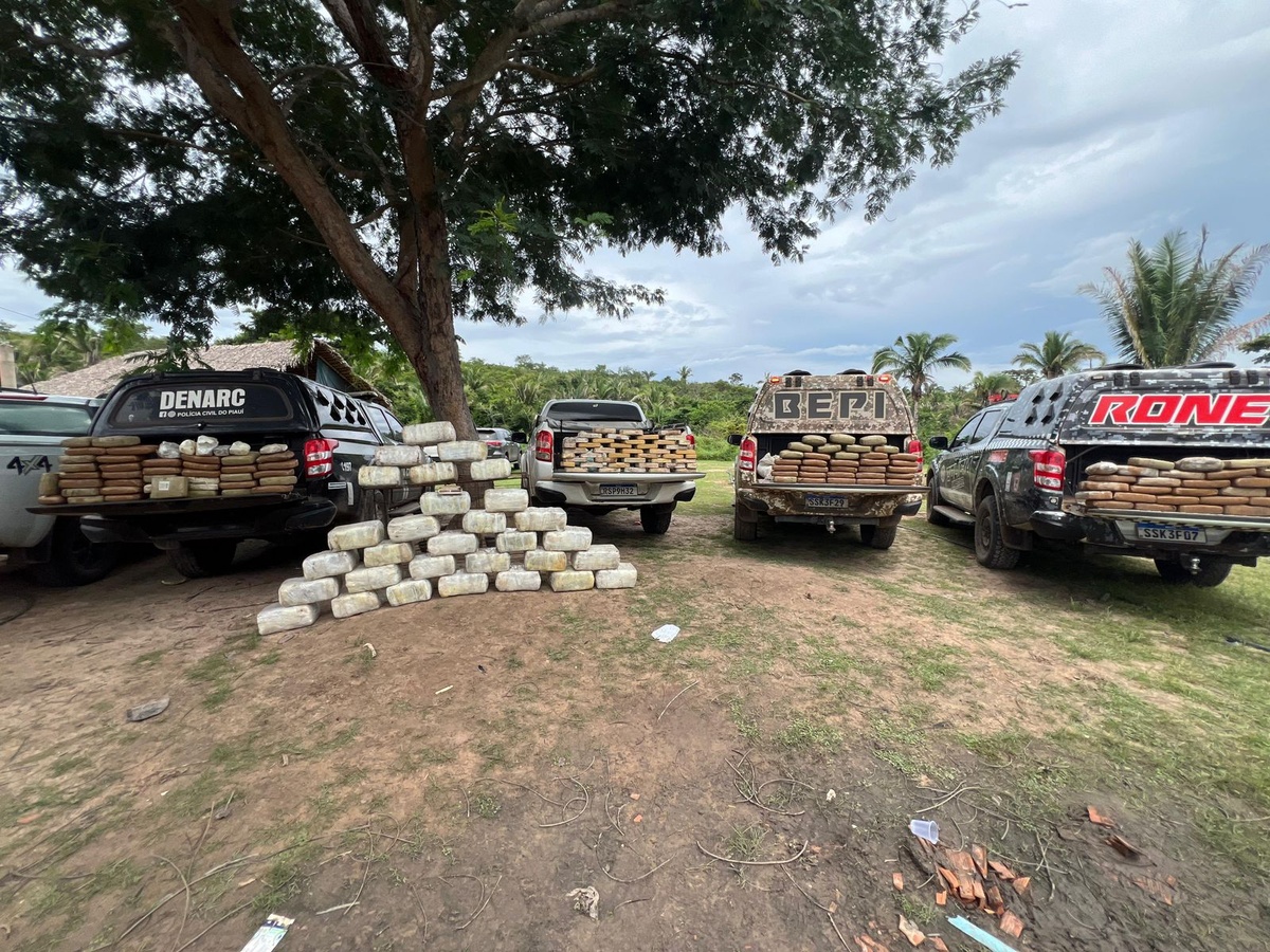 Polícia apreende 700 kg de drogas em sítio no MA; suspeito é preso em Timon.
