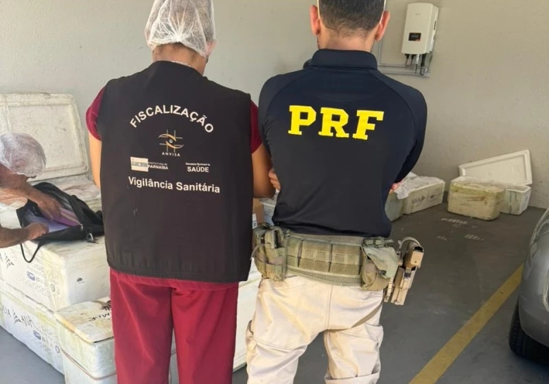 Fiscalização apreende 650 kg de queijo, peixe e camarão.