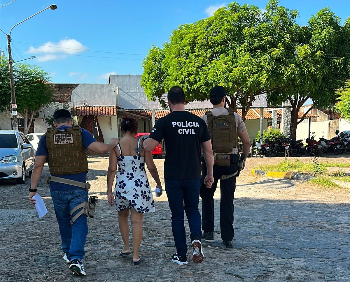 Mulher é indiciada por tentar sequestrar recém-nascida em maternidade de Teresina